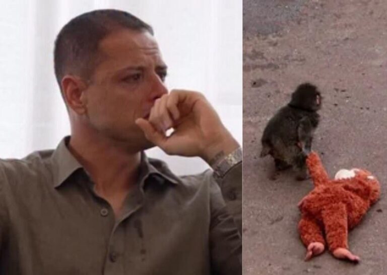 Javier Hernandez