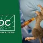 Kano Centre for Disease Control Confirms Death of French Health Worker and Two Lassa Fever Infections in Minjibir, Kano State