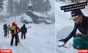 Rescue teams scramble to locate nine missing backcountry skiers after avalanche strikes Castle Peak in California’s Sierra Nevada