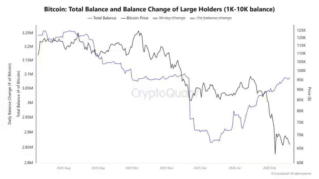 Large Bitcoin Whales Increase Holdings by 230000 BTC as Exchange Flows Surge on Binance and Reserves Return to Pre Crash Levels