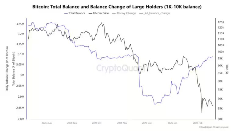 Large Bitcoin Whales Increase Holdings by 230000 BTC as Exchange Flows Surge on Binance and Reserves Return to Pre Crash Levels