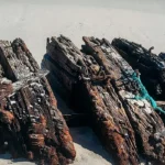 Lawrence N. McKenzie