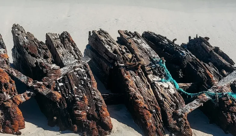 Lawrence N. McKenzie