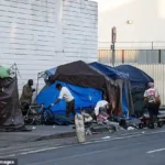 Nithya Raman announces her bid to run for mayor and challenges incumbent Karen Bass in Los Angeles amid growing debate over policing and homelessness policies