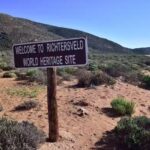 Scientists discover multiple previously unknown insect species in Richtersveld National Park highlighting South Africa’s biodiversity