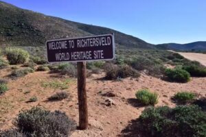 Scientists discover multiple previously unknown insect species in Richtersveld National Park highlighting South Africa’s biodiversity