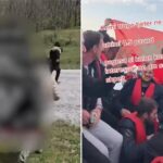 Smugglers post ads on social media in UK