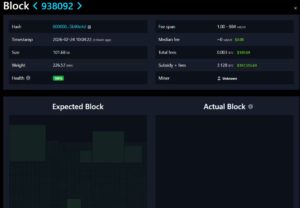 Solo Bitcoin Miner Wins 3.125 BTC Block Reward Using On-Demand Hashrate in International Cryptocurrency Network