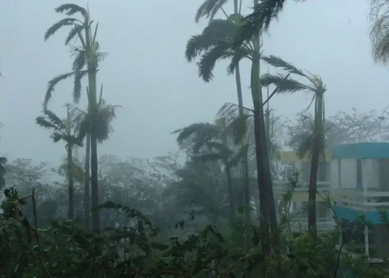 South African Weather Service Warns Citizens of Severe Storms and Heavy Rain Affecting Five Provinces Today