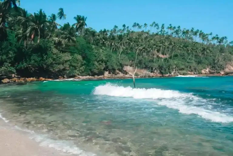 Sri Lankan