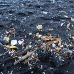 Large amounts of garbage drift down the Tisza River from Ukraine toward Hungary following February snowmelt and rising water levels