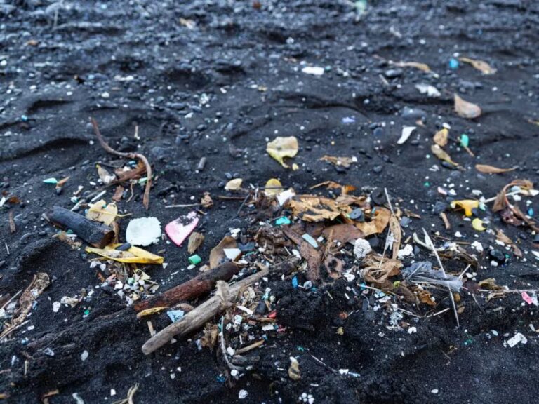 Large amounts of garbage drift down the Tisza River from Ukraine toward Hungary following February snowmelt and rising water levels