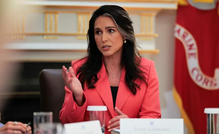Tulsi Gabbard
