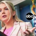 ABC News faces backlash after omitting unverified label in Iranian drone threat report to California