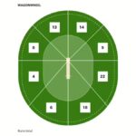 Finn Allen Smashes Record Century to Hammer South Africa in Kolkata T20 World Cup Semi-Final