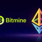 Bitmine Immersion Technologies accelerates massive Ether purchases across global crypto markets in the United States after mini-crypto winter signals recovery
