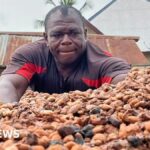 Ghana government boosts local cocoa processing to increase national wealth and create jobs across the country