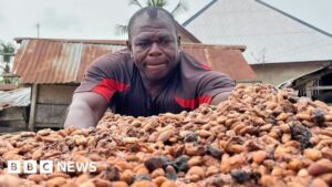 Ghana government boosts local cocoa processing to increase national wealth and create jobs across the country