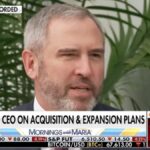 Brad Garlinghouse Predicts Stablecoins Will Transform Corporate Payments Across the United States