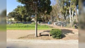 Cape Town authorities demolish informal shacks opposite Cape Town Stadium to clear space for construction projects