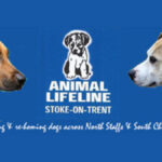 Charity Commission Launches Investigation Into Animal Lifeline in Stoke-on-Trent