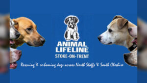 Charity Commission Launches Investigation Into Animal Lifeline in Stoke-on-Trent