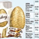 Chocolate Easter Egg