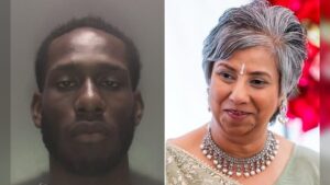 Chukwuemeka Ahanonu and Nila Patel