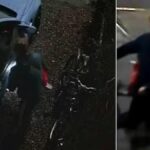 Cigarette Smoking Thief