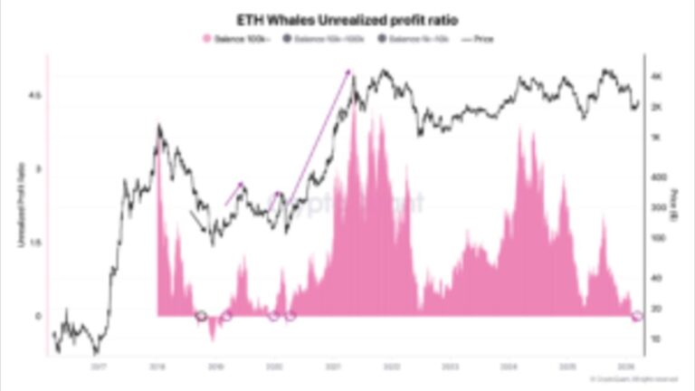 Ethereum whales spark potential Ether rally as top holders return to profit in global crypto markets