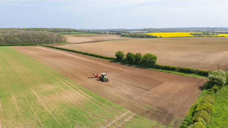 Farmers