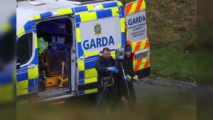 Fatal Truck and Van Collision Kills Man and Forces Major Motorway Closure in County Meath Ireland