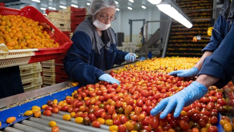 Food Security