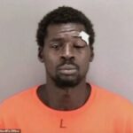 Homeless Man Grapples With San Francisco Mayor’s Bodyguard In Viral Street Brawl