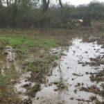 In January 2019, an Environment Agency officer was out walking his dog when he noticed what appeared to be slurry in a stream