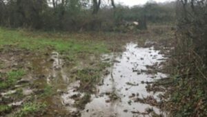 In January 2019, an Environment Agency officer was out walking his dog when he noticed what appeared to be slurry in a stream
