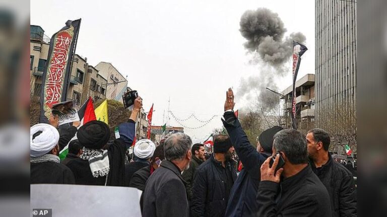 Iranian Protester