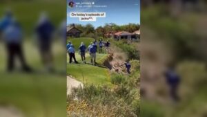 John Daly slips and nearly crashes down hill during dramatic ball retrieval at La Paloma Country Club in Tucson