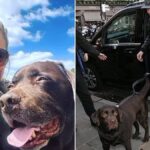 Lisa Armstrong and Ant McPartlin