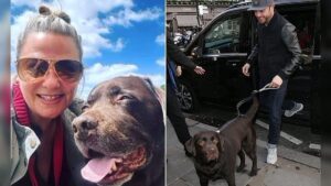 Lisa Armstrong and Ant McPartlin