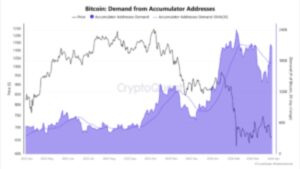 Long term Bitcoin holders surge accumulation while miners curb selling pressure in global crypto markets
