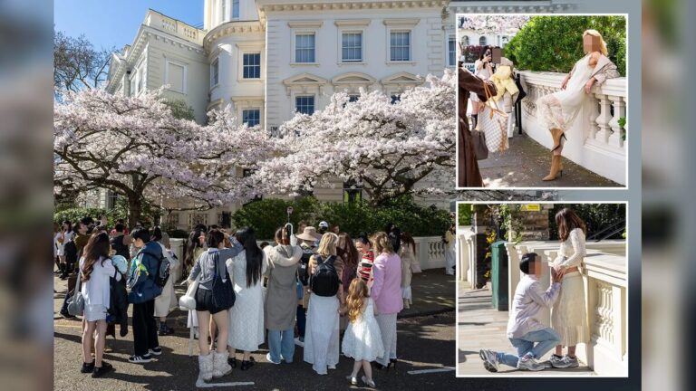 Notting Hill Cherry Blossoms