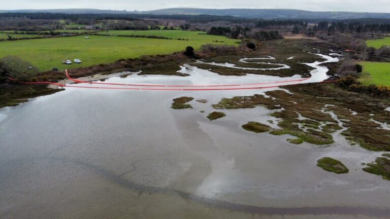 Poole Harbour