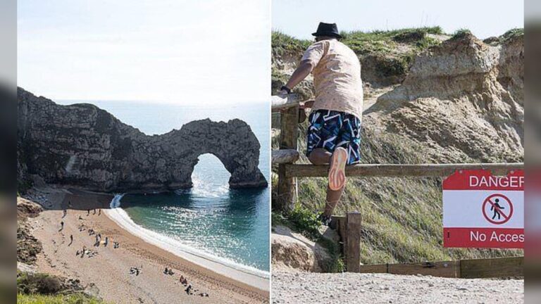 Reckless Tourist
