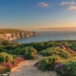 Travellers Discover Stunning Tasmania Style Beaches and Wildlife on the Isle of Wight in the United Kingdom Without the 26 Hour Flight to Australia