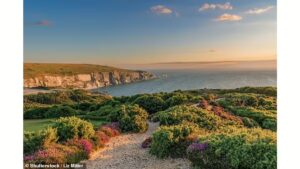 Travellers Discover Stunning Tasmania Style Beaches and Wildlife on the Isle of Wight in the United Kingdom Without the 26 Hour Flight to Australia