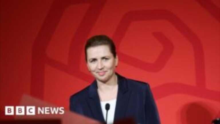 Troels Lund Poulsen rejects coalition with Social Democrats to push new direction in Denmark politics