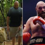 Tyson Fury