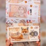 Bank of England ignites debate as it replaces historical figures with wildlife on new banknotes across United Kingdom amid public backlash and political criticism