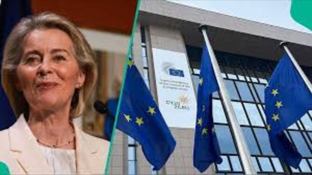 European Union delegation offers traineeship programme and invites Nigerian graduates to apply in Abuja